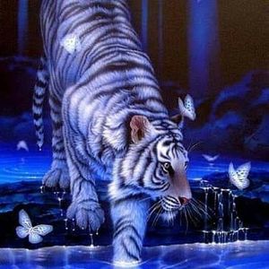 Meet your Posher, Jane